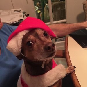 Meet your Posher, Terri